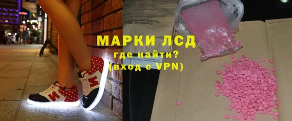 сатива Сатка