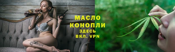 индика Волоколамск