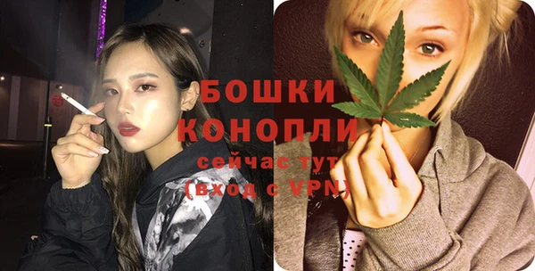 индика Волоколамск