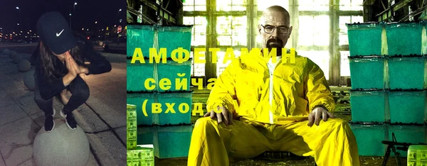 индика Волоколамск