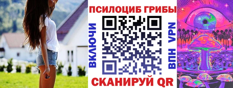 omg вход  продажа наркотиков  Каргополь  Галлюциногенные грибы прущие грибы 